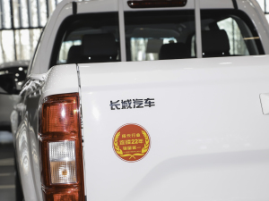 2021款2.0T 两驱超值型大双排 汽油 细节外观