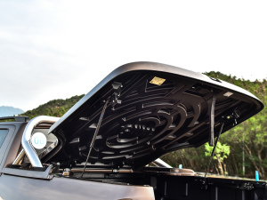 2021ȫ 2.0TԄ Сp  g