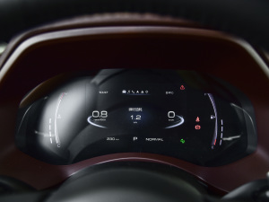 2021款全球版 2.0T自动四驱尊享型 小双 柴油 中控区