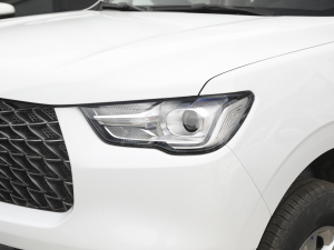 2021ð 2.0Tք(dng)(q)I(lng) p  (x)(ji)^