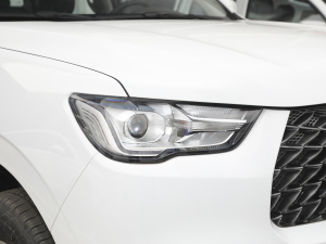 2021ð 2.0Tք(dng)(q)I(lng) p  (x)(ji)^