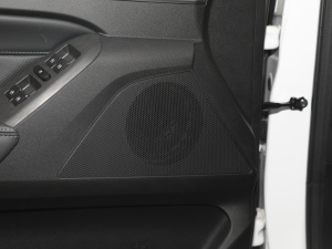 2021ð 2.0Tք(dng)(q)I(lng) p  g