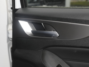 2021ð 2.0Tք(dng)(q)I(lng) p  g