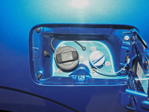 2021ð 2.0TԄӃ򌾫Ӣ p  ^