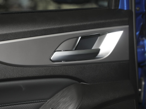 2021ð 2.0TԄӃ򌾫Ӣ p  g