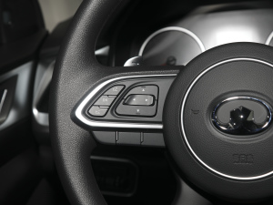 2021ð 2.0TԄ(dng)(q)Ӣ p  п؅^(q)