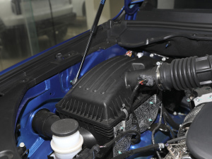 2021ð 2.0TԄӃ(q)Ӣ p  