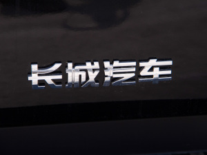 2021款商用版 2.0T手动四驱精英型 大双 柴油 细节外观