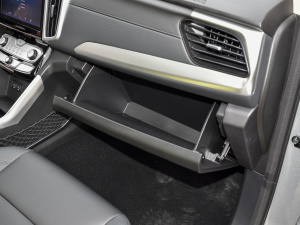 2021ð 2.0TԄ(dng)(q)I(lng) p  