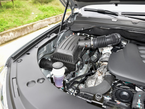 2021款商用版 2.0T自动四驱领航型 大双 柴油 其它