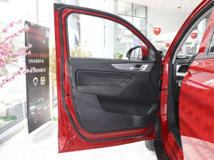 2021款商用版 2.0T自动两驱精英型 大双 汽油 驾驶位车门