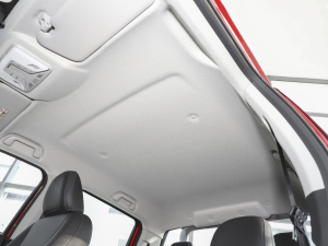 2021ð 2.0TԄ(dng)(q)Ӣ p  g