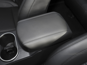 2021ð 2.0TԄӃ򌾫Ӣ p  