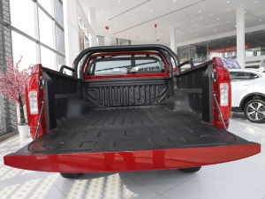 2021ð 2.0TԄӃ򌾫Ӣ p  g