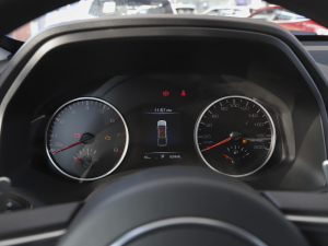 2021款商用版 2.0T自动两驱精英型 大双 汽油 仪表