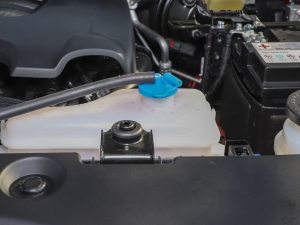 2021ð 2.0TԄӃ򌾫Ӣ p  