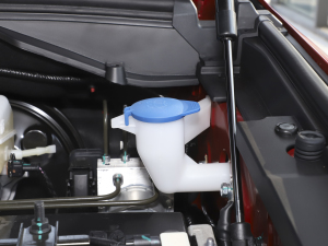 2021ð 2.0TԄӃ򌾫Ӣ p  