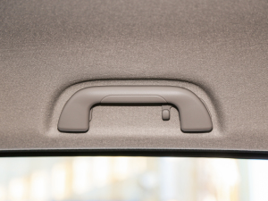 2021ð 2.0TքӃ򌾫Ӣ p  g