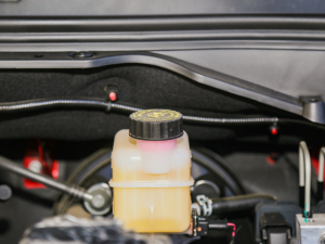 2021ð 2.0TքӃ򌾫Ӣ p  