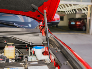 2021ð 2.0TքӃ򌾫Ӣ p  