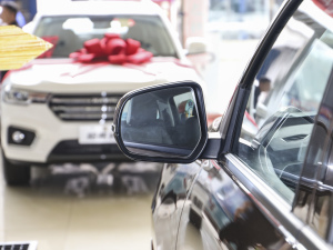 2021ð 2.0Tք򌾫Ӣ p  ^