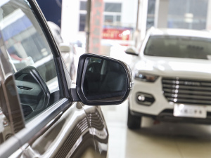 2021ð 2.0Tք򌾫Ӣ p  ^