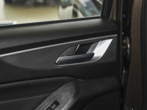 2021ð 2.0Tք򌾫Ӣ p  g