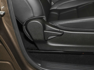 2021ð 2.0Tք򌾫Ӣ p  g