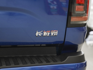 2021款全球版 2.0T自动四驱舒适型 小双 汽油 细节外观