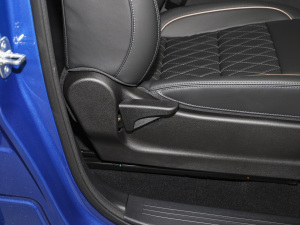 2021ȫ 2.0TԄm Сp  g