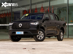 2021���ڳ���Ƥ�� 