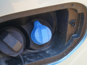 20222.0T ք(dng)(q)I(lng)͘(bio)  (x)(ji)^