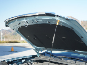 20222.0T քI͘  lәCœ