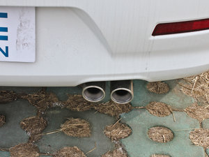 20121.5T ք(dng)Ӣ Ś