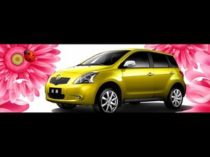2010款1.3L AMT 整体外观