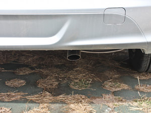 20131.5L ք(dng)m Ś