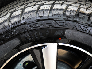 20202.4T Ԅ(dng)(q)(bio)S  ݆̥ߴ