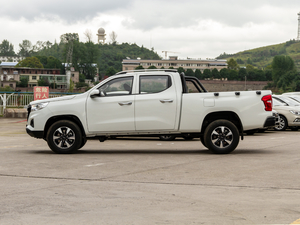 2020款2.5T 两驱豪华版长轴 额载675KG 柴油 国VI 正侧（左）