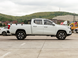 2020款2.5T 两驱豪华版长轴 额载675KG 柴油 国VI 整体外观