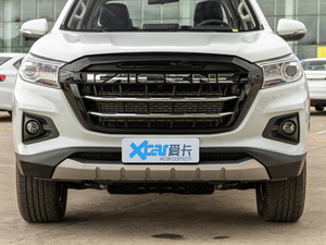 2020款2.5T 两驱豪华版长轴 额载675KG 柴油 国VI 中网