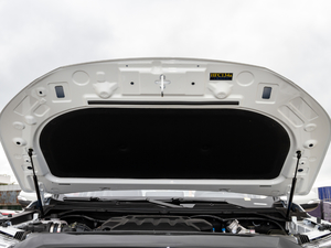 2020款2.5T 两驱豪华版长轴 额载675KG 柴油 国VI 其它
