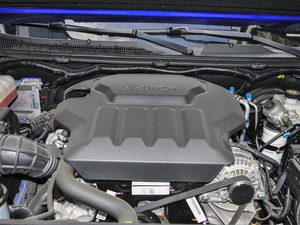 2020款2.5T 四驱豪华版长轴 额载495KG 柴油 国VI 其它