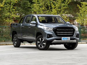 20202.5T (q)(bio)(zhn)LS ~d675KG  VI w^