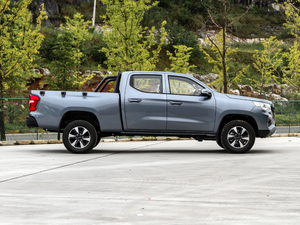 20202.5T (q)(bio)(zhn)LS ~d675KG  VI w^