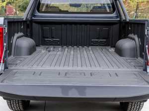 20202.5T (q)(bio)(zhn)LS ~d675KG  VI g