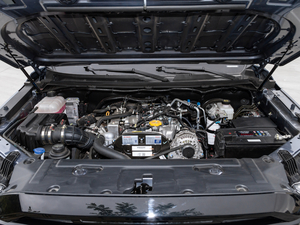 20202.5T (q)(bio)(zhn)LS ~d675KG  VI l(f)әC(j)