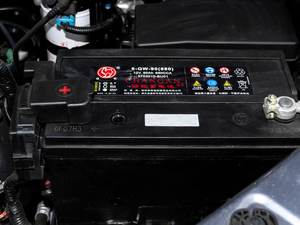 20202.5T (q)(bio)(zhn)LS ~d675KG  VI 