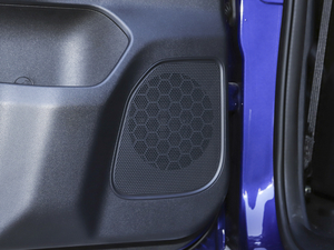 20202.4T (q)(bio)S  (gu)VI g