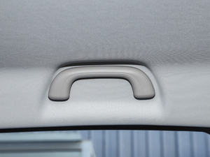 20202.4T (q)(bio)S  (gu)VI g