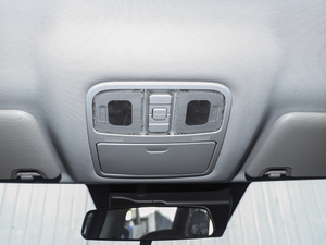 20202.4T (q)(bio)S  (gu)VI g